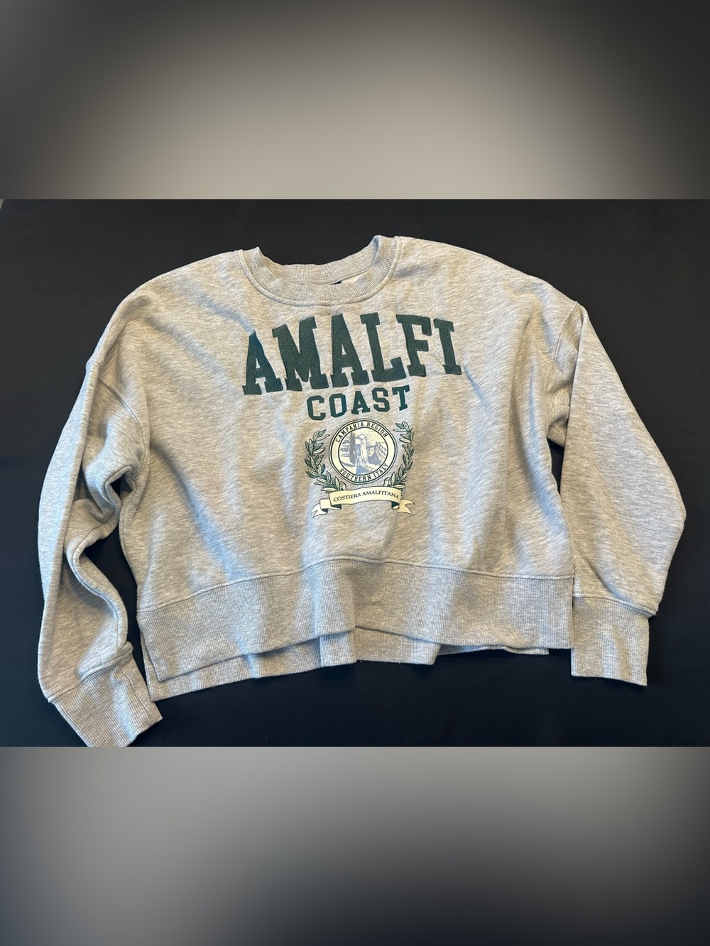 Oak & Trellis Amalfi Coast Grey Graphic Sweatshirt Sz. S